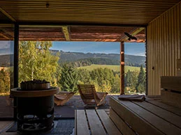 Wellness Amenity Resort